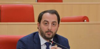 ირაკლი მეზურნიშვილი: ინვესტიციების კუთხით იაპონია ძალიან აქტიურია და მნიშვნელოვანია, შევთავაზოთ ჩვენი ქვეყნის პოტენციალი. ამ მიმართულებით აქტიურად ვმუშაობთ და ძალიან დიდია ინტერესი იაპონური კომპანიებისა, რომ შემოვიდნენ ქართულ ბაზარზე
