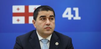 შალვა პაპუაშვილი მაია სანდუზე: როდესაც სახელმწიფოს მეთაური ამბობს, რომ ეპატარავება საკუთარი სახელმწიფო და იმდენად მცირედ მიაჩნია, რომ გადასარჩენად საჭიროა გაუქმდეს, ფაქტია, რომ სხვადასხვა ორბიტაზე ვართ