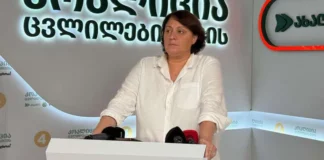 შვედეთის და ნორვეგიის ელჩების უხეში ჩარევა საქართველოს სასამართლო სისტემაში – ელჩები ელენე ხოშტარიას მიმართ გამოტანილი განაჩენით უკმაყოფილოები არიან