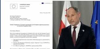 სკანდალური წერილი და ევროკავშირის ელჩის აღიარება – პაველ ჰერჩინსკი ადასტურებს, რომ საქართველოს ევროკავშირში გაწევრიანების შეჩერებაზე გადაწყვეტილება ირაკლი კობახიძის განცხადებამდე ხუთი თვით ადრე თავად მიიღეს