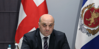 ალექსანდრე დარახველიძე არასრულწლოვანთა შესახებ გერმანული კანონის ანალოგზე: პრაქტიკაში დაინერგება ის მექანიზმი, რომელიც პირველ რიგში დაიცავს ბავშვებს იმ რთული მოვლენებისგან, რაშიც ისინი არიან ჩართული