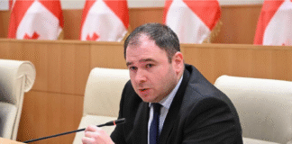 ნიკოლოზ სამხარაძე, როგორც OSCEPA-ს საარჩევნო მისიის წევრი, ყირგიზეთის საპარლამენტო არჩევნებს დააკვირდა