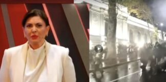 როგორ გააწბილა სტუმარმა თეა ადეიშვილი ეგრეთ წოდებულ “კამიტის” საქმეზე