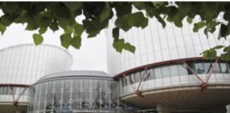 სტრასბურგის სასამართლომ დაადგინა, რომ უკრაინამ დაარღვია კონკრეტული იურიდიული პირის უფლებები, როცა მას სანქცია დაუსაბუთებლად დააკისრა. ასევე დაარღვია კონვენციის მე-13 მუხლი, ვინაიდან მოსარჩელეს ეროვნულ დონეზე უფლების დაცვის ეფექტიანი შესაძლებლობა არ ჰქონია