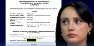 თეონა ბაღდავაძე – ოპოზიციონერი აქტივისტი, რომელიც რუსეთს ღიად ებრძვის, ფარულად კი მისგან სარგებელს იღებს და რუსულ კომპანია „ვაილდბერიზთან” თანამშრომლობს