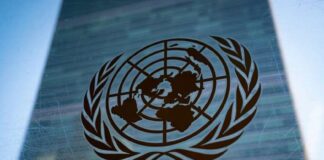 გაეროს ანგარიში „მსოფლიო ეკონომიკური მდგომარეობა და პერსპექტივები 2026 წლისთვის“: 2026 წელს საქართველო კავკასიაში ყველაზე მაღალ ეკონომიკურ ზრდას აჩვენებს და ლიდერი იქნება