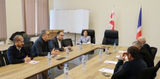 პოლიტიკური ჯგუფი „ხალხის ძალის“ წევრები განაგრძობენ შეხვედრებს “ხალხის ძალის” ფრაქციების წარმომადგენლებთან საკრებულოებში