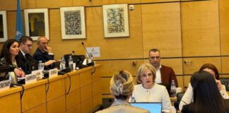 ეკა სეფაშვილმა გაერო-ს ეკონომიკური, სოციალური და კულტურული უფლებების კომიტეტის (CESCR) 79-ე სესიის მე-7 შეხვედრაში მიიღო მონაწილეობა