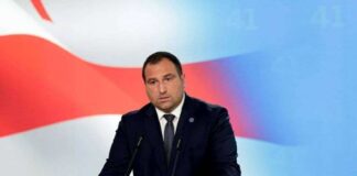 ირაკლი კირცხალია: ბრიუსელში კარგად იციან, რომ ჩვენი გუნდის თითოეული წევრისთვის, რომლებსაც ძალიან კარგად გვაქვს გათვითცნობიერებული, სად ვდგავართ, ჩვენი ქვეყნის რა ინტერესებს ვიცავთ, ნაკლებად მნიშვნელოვანია, ვიზის აღება მოგვიწევს თუ არა