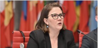 ვინ არის ე.წ. დამოუკიდებელი ექსპერტი, რომელმაც სავარაუდოდ, წინასწარ დაწერილ დეზინფორმაციას ხელი მოაწერა და “მოსკოვის მექანიზმის” დასკვნად გაასაღა