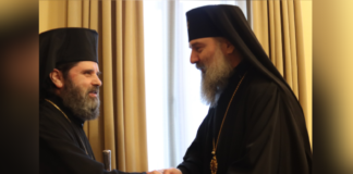 მიტროპოლიტმა შიომ ალბანეთის მთავარეპისკოპოსი მიიღო