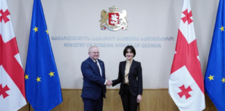 მაკა ბოჭორიშვილი აშშ-ის სახელმწიფო დეპარტამენტის ევროპისა და ევრაზიის ბიუროს წარმომადგენელს შეხვდა