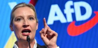 ალის ვაიდელი: გერმანია ეკონომიკური კატასტროფის წინაშე დგას