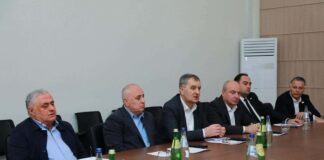 პოლიტიკური ჯგუფი „ხალხის ძალის“ წევრები რეგიონების საკრებულოებში საკუთარი ფრაქციების წევრებთან შეხვედრებს აგრძელებენ