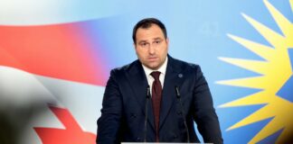 ირაკლი კირცხალია – ოპოზიციას არ შეუძლია თვითორგანიზება, აგენტი მოქმედებს დავალებით