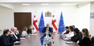 სახელმწიფო 4 წლამდე ასაკის ბავშვებისთვის ორმხრივ კოხლეარულ იმპლანტაციას დააფინანსებს