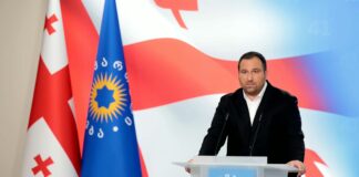 ირაკლი კირცხალია – ბატონმა გიგა ფარულავამ წარმოადგინოს ცნობა ორსულობის შესახებ, მე თვითონ ვუშუამდგომლებ პროკურატურასთან, რომ ამ თემაზე ჩვენს წინააღმდეგ აღიძრას საქმე