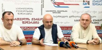გიორგი შანიძე: ბოლო პერიოდში, ქართულ საზოგადოებრივ სივრცეში საგრძნობლად იმატა ე.წ. გამოხატვის ფორმებმა, რომლებიც საქართველოს მართლმადიდებელი ეკლესიის, ეროვნული გმირების, ისტორიული მეხსიერების, კულტურული ტრადიციებისა და იმ ღირებულებების წინააღმდეგაა მიმართული, რომელთაც საუკუნეების განმავლობაში ეფუძნებოდა ქართული სახელმწიფოებრიობა