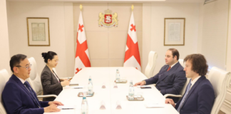 ირაკლი კობახიძე ჩინეთის ელჩს საქართველოში, ჭოუ ციენს შეხვდა