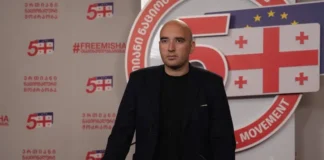 ფავლენიშვილი აღიარებს, რომ აგვისტოს ომის შემდეგ ნაცმოძრაობის ლოიალობას რუსეთის მიმართ ხელი შეუწყო “ევროპაში ძალებმა”