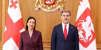საქართველოს პრეზიდენტი, მიხეილ ყაველაშვილი ლატვიის რესპუბლიკაში საქართველოს ახლად დანიშნულ საგანგებო და სრულუფლებიან ელჩს, ანა აბულაძეს შეხვდა