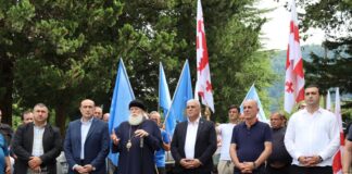 „ქართულმა ოცნებამ“ საქართველოს ოთხ მუნიციპალიტეტში საკრებულოს მაჟორიტარობის კანდიდატები წარადგინა