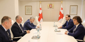 ფინანსთა სამინისტროს შემოსავლების სამსახურს მამუკა ბარათაშვილი, ხოლო საგამოძიებო სამსახურს მერაბ გამყრელიძე უხელმძღვანელებს
