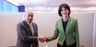 მაკა ბოჭორიშვილი ყურის ქვეყნების თანამშრომლობის საბჭოს (GCC) გენერალურ მდივანს შეხვდა