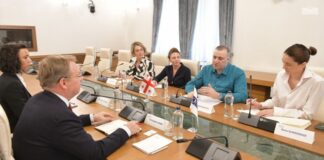 რატი იონათამიშვილი ეროვნულ უმცირესობათა საკითხებში ეუთო-ს უმაღლეს კომისარს შეხვდა რატი იონათამიშვილი ეროვნულ უმცირესობათა საკითხებში ეუთო-ს უმაღლეს კომისარს შეხვდა