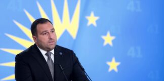 ირაკლი კირცხალია – დარწმუნებული ვარ, თამაზ ბორაშვილის საქმიანობა ძალიან ეფექტიანი იქნება