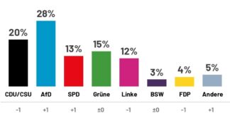 Ipsos Public Opinion Institute – „ალტერნატივა გერმანიისთვის“ რეიტინგი 28%-ს შეადგენს, ფრიდრიხ მერცის ბლოკის რეიტინგი კი 20%-მდე შემცირდა